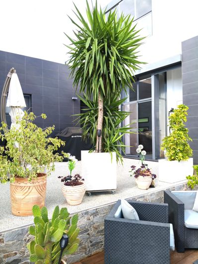 Image No.22-3 Bed Townhouse for sale