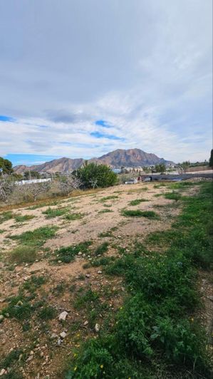 Image No.35-Villa de 4 chambres à vendre à Orihuela