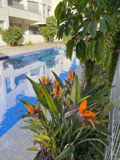 Image No.3-2 Bed Bungalow for sale