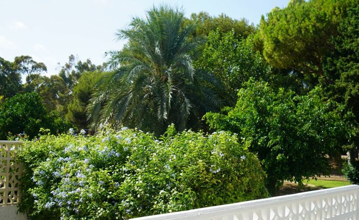 Image No.21-3 Bed Townhouse for sale