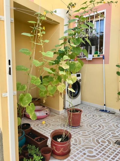 Image No.18-2 Bed Townhouse for sale