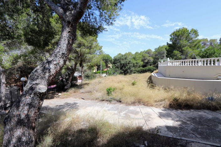 Image No.36-5 Bed House for sale