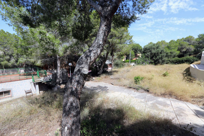 Image No.37-5 Bed House for sale