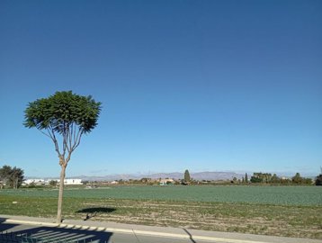 34192-for-sale-in-daya-vieja-19983811-large