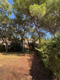 15-11d12f2f454f2f5e9b981fdd8b901d51