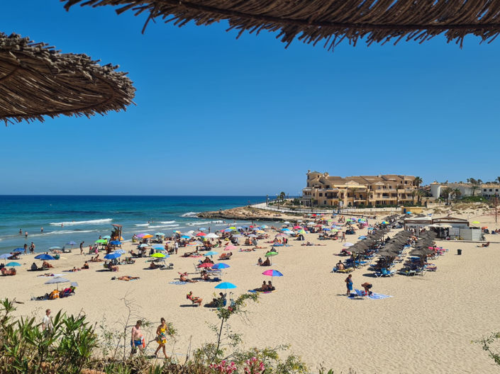 Image No.23-Appartement de 1 chambre à vendre à Playa Flamenca