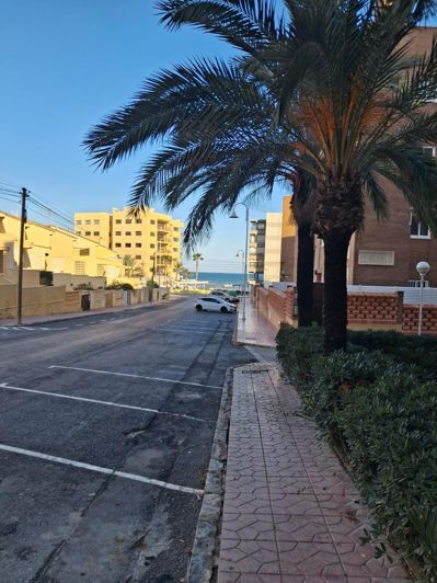 Image No.15-Appartement de 1 chambre à vendre à Guardamar del Segura