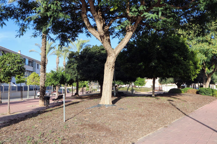 Image No.32-3 Bed House for sale