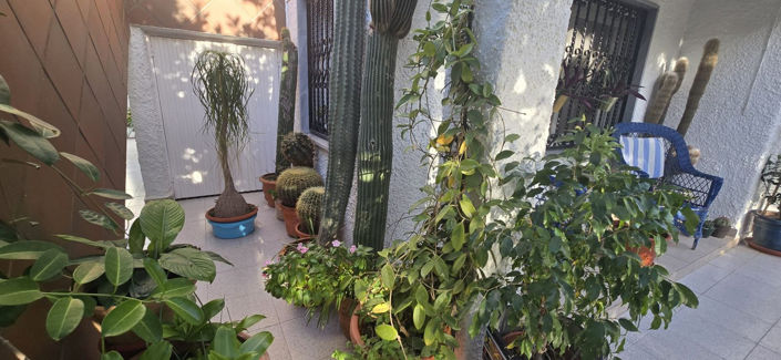 Image No.45-6 Bed House for sale