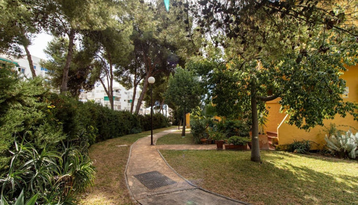 Image No.13-3 Bed House for sale