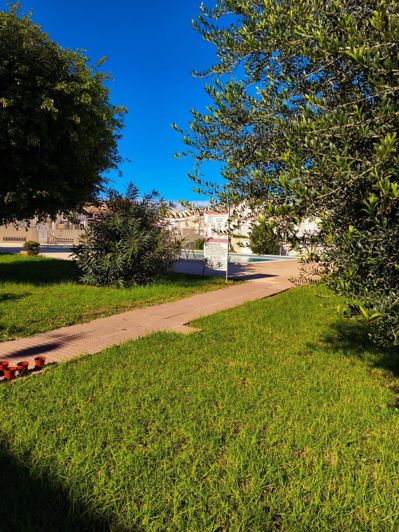 Image No.29-Maison de ville de 3 chambres à vendre à Torrevieja