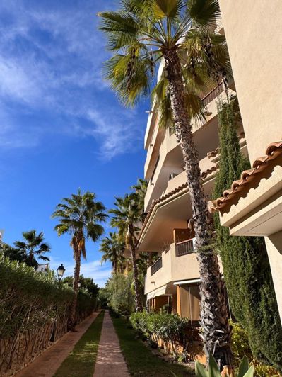 Image No.6-Appartement de 2 chambres à vendre à Torrevieja