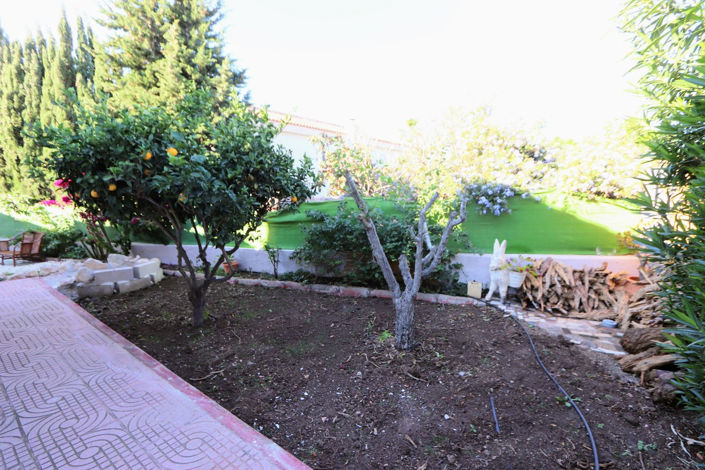 Image No.23-6 Bed House for sale