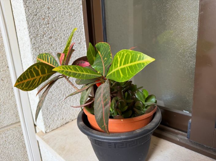 Image No.35-Appartement de 2 chambres à vendre à Orihuela Costa