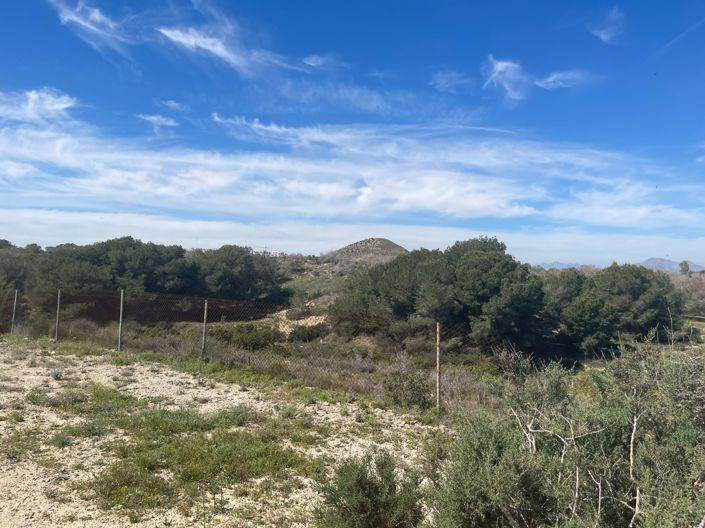 Image No.34-Villa de 3 chambres à vendre à Guardamar del Segura