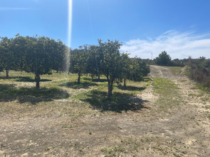 Image No.37-Villa de 3 chambres à vendre à Guardamar del Segura