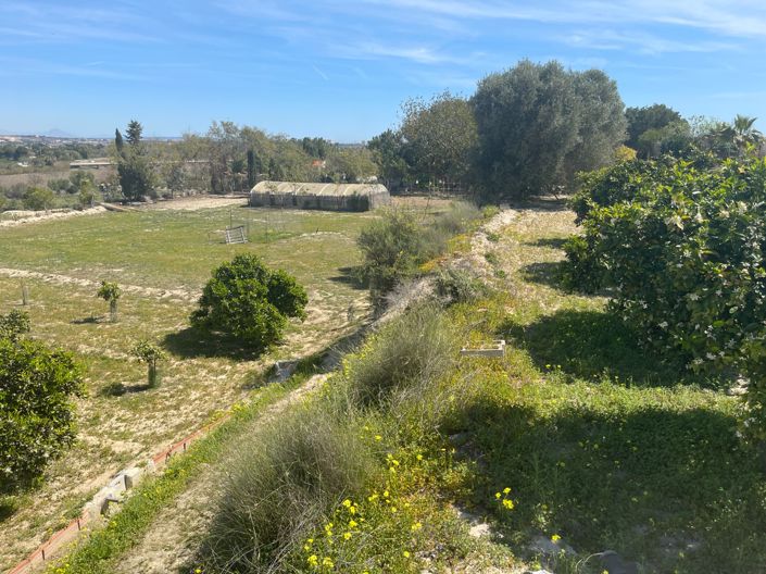 Image No.38-Villa de 3 chambres à vendre à Guardamar del Segura
