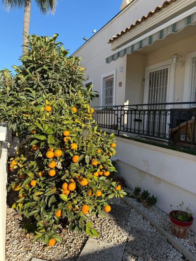 Image No.23-3 Bed House for sale