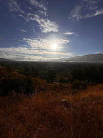 5-3595ad71cbd87be6c3643a4285ef4791