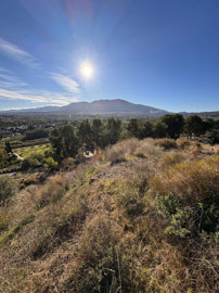 8-e64a9055bba3e77ac8aca3b893cdf826