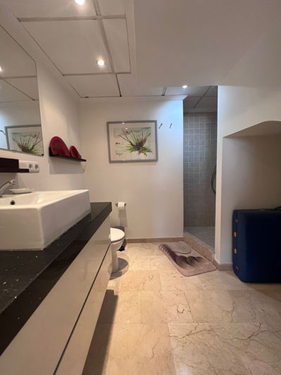 Image No.16-Penthouse de 3 chambres à vendre à San Pedro de Alcantara