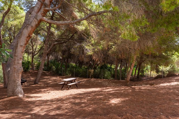 Image No.19-3 Bed Apartment for sale