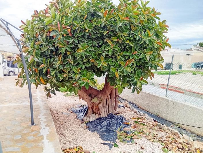 Image No.23-4 Bed Villa for sale