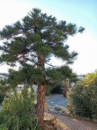 Image No.27-4 Bed Villa for sale