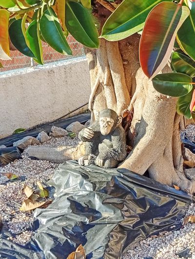 Image No.30-4 Bed Villa for sale