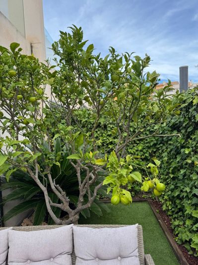 Image No.3-Maison de ville de 3 chambres à vendre à Torrevieja