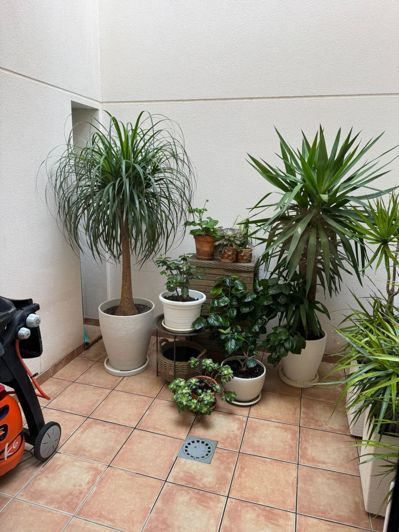 Image No.8-3 Bed Townhouse for sale