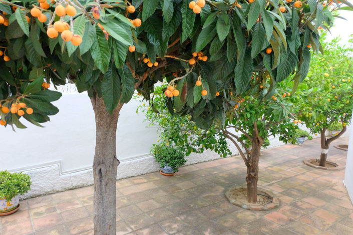 Image No.5-5 Bed House for sale