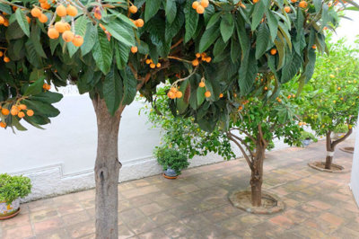 5-3595ad71cbd87be6c3643a4285ef4791