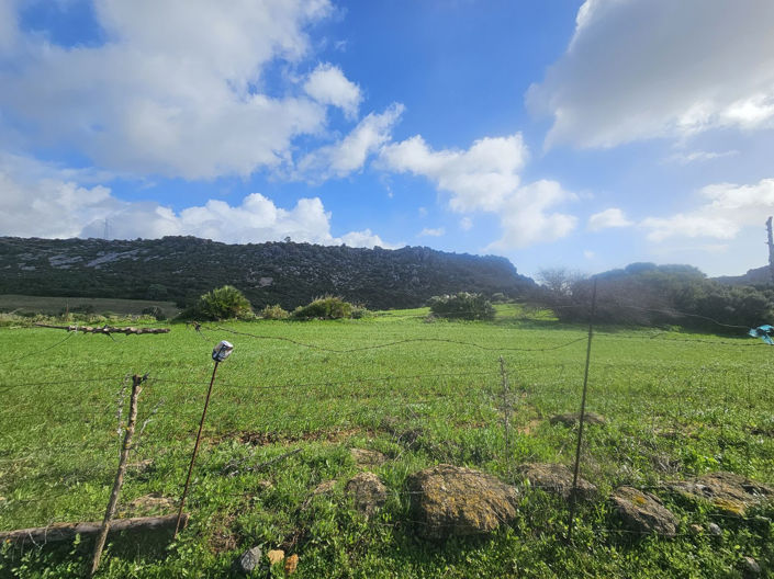 Image No.10-2 Bed Bungalow for sale