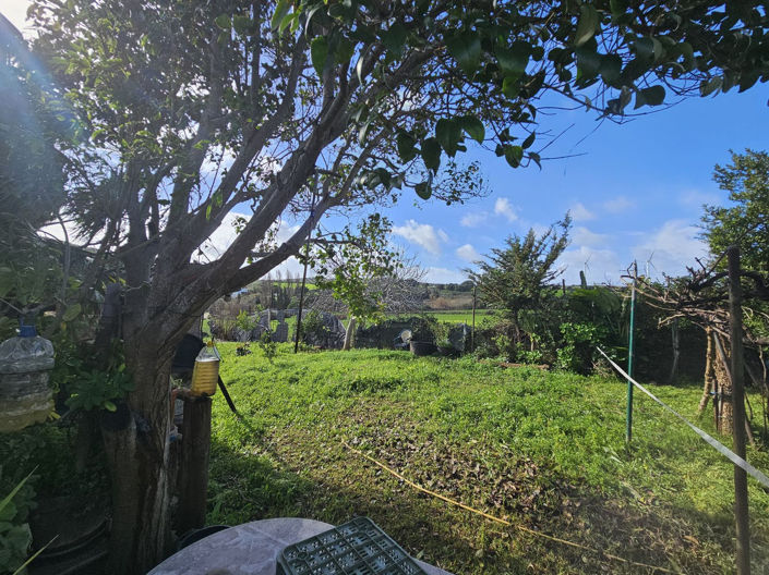 Image No.3-Propriété de 2 chambres à vendre à Casares