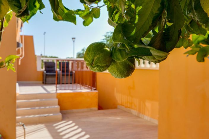 Image No.40-Bungalow de 2 chambres à vendre à Torrevieja