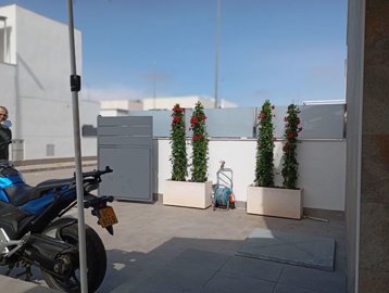 34549-for-sale-in-daya-vieja-20346638-large