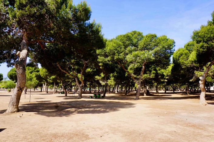 Image No.37-Appartement de 3 chambres à vendre à Santiago de la Ribera