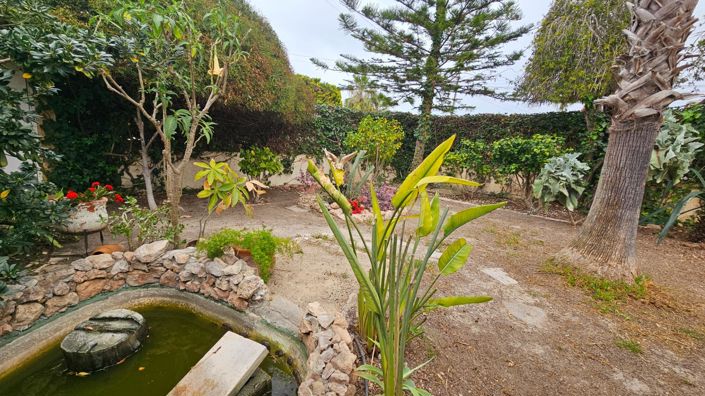 Image No.3-Villa de 3 chambres à vendre à Torrevieja