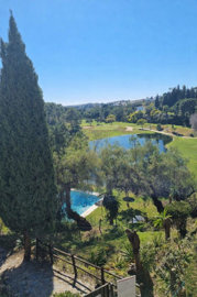 15-11d12f2f454f2f5e9b981fdd8b901d51