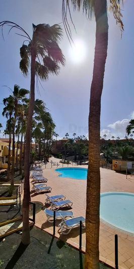 Image No.4-Appartement de 1 chambre à vendre à Corralejo