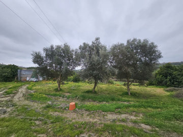 5-3595ad71cbd87be6c3643a4285ef4791