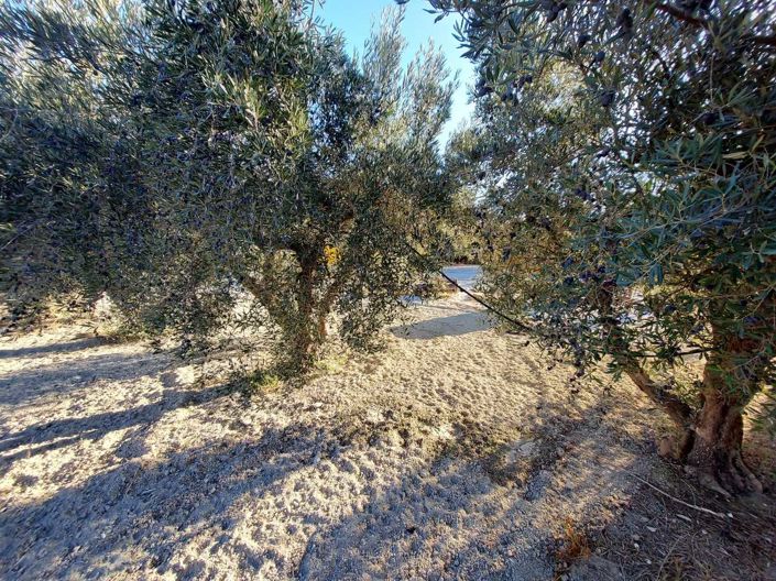 Image No.19-Villa de 3 chambres à vendre à Calasparra