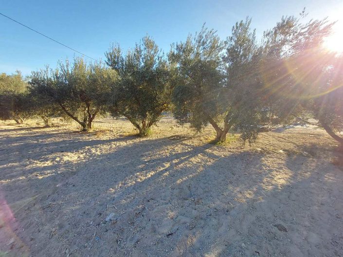 Image No.20-Villa de 3 chambres à vendre à Calasparra