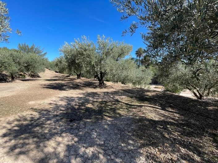 Image No.43-Villa de 3 chambres à vendre à Calasparra