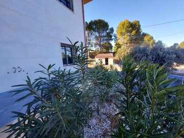 954-villa-for-sale-in-calasparra-25579-large