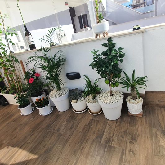 Image No.12-2 Bed House for sale