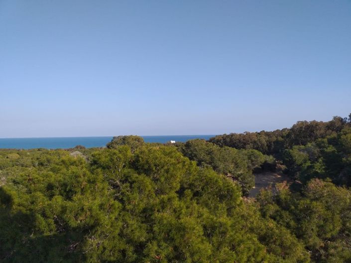 Image No.11-3 Bed Apartment for sale