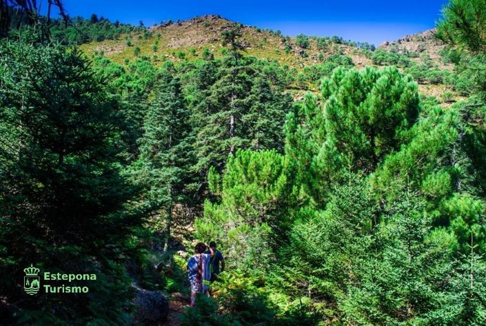 Image No.9-Villa de 2 chambres à vendre à Estepona