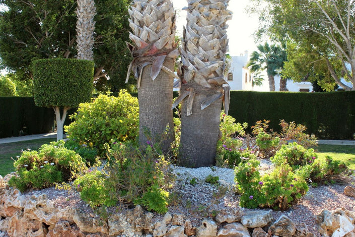 Image No.33-3 Bed Apartment for sale